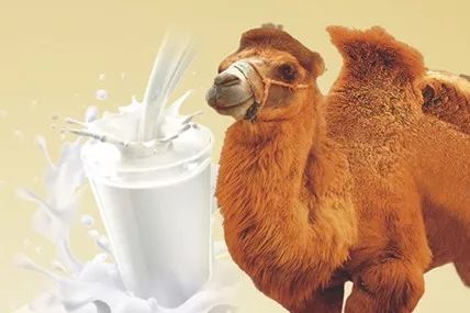 AG贵宾会·(中国)集团